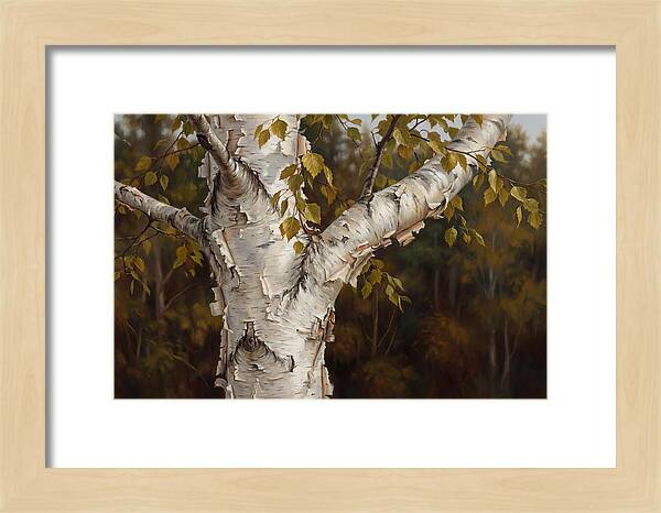 Birch Tree Elegance