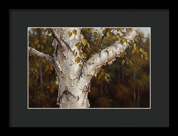 Birch Tree Elegance