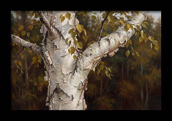 Birch Tree Elegance