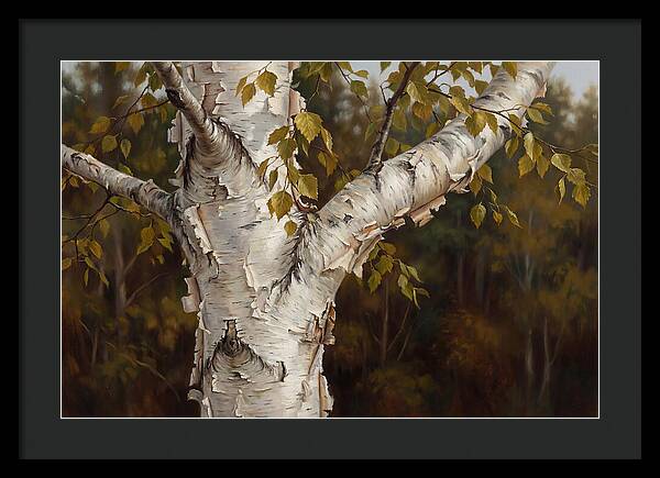 Birch Tree Elegance