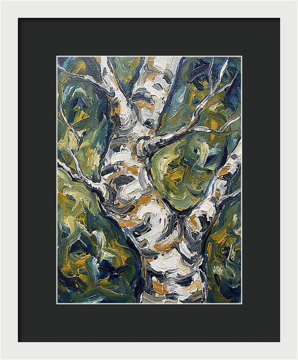 Birch Tree Serenity