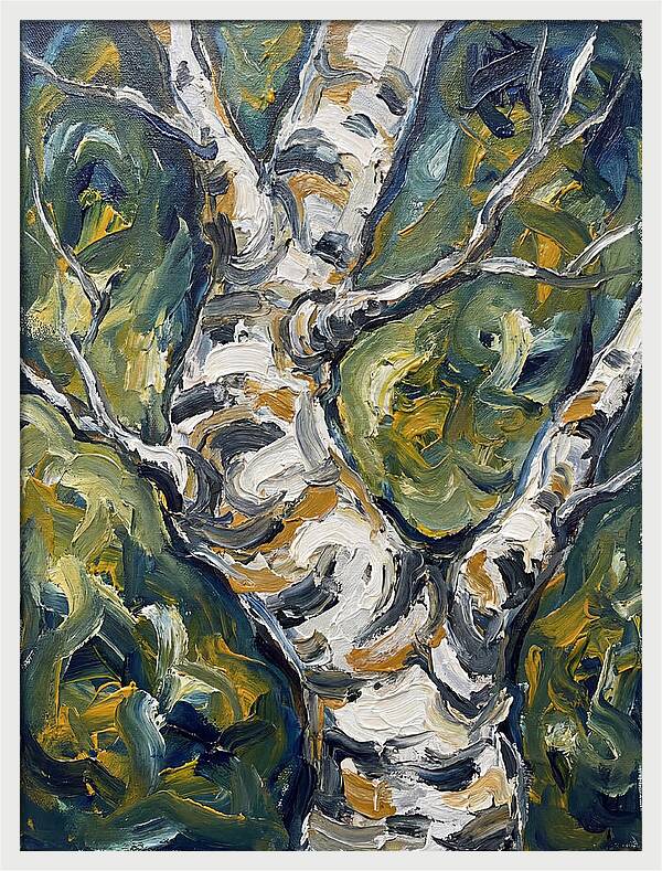 Birch Tree Serenity