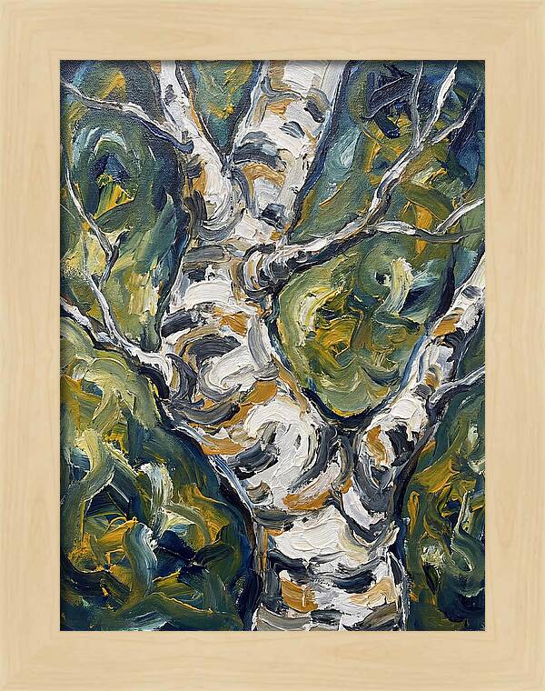 Birch Tree Serenity
