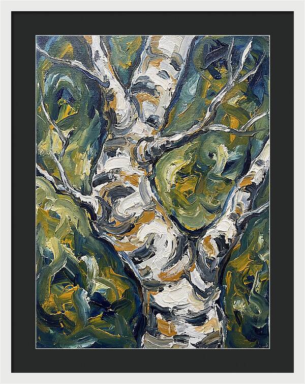 Birch Tree Serenity