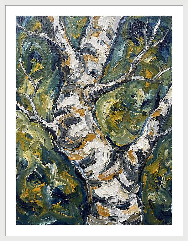 Birch Tree Serenity