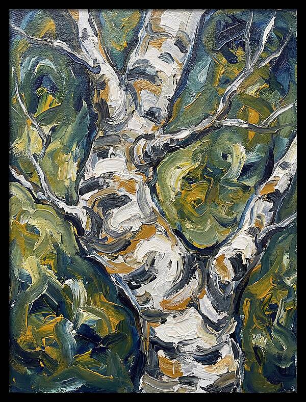 Birch Tree Serenity