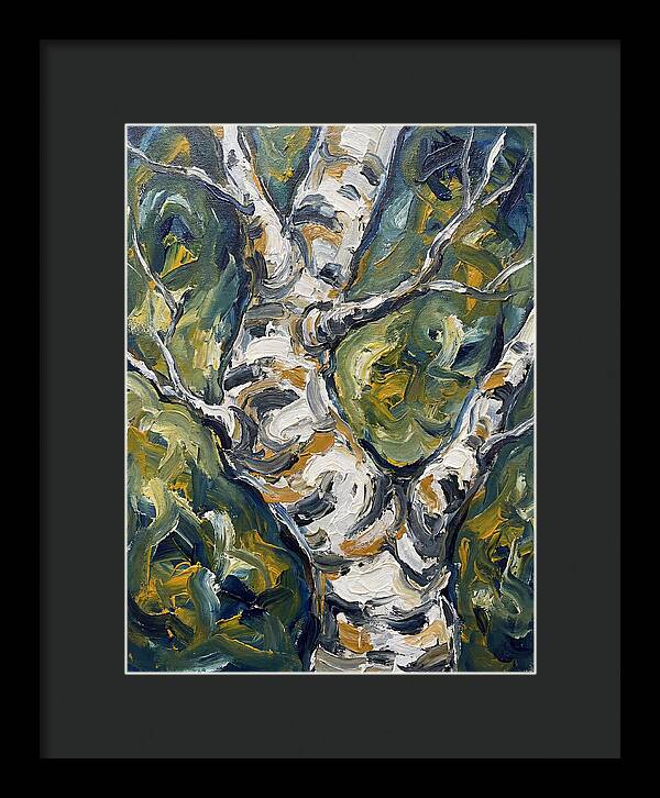Birch Tree Serenity