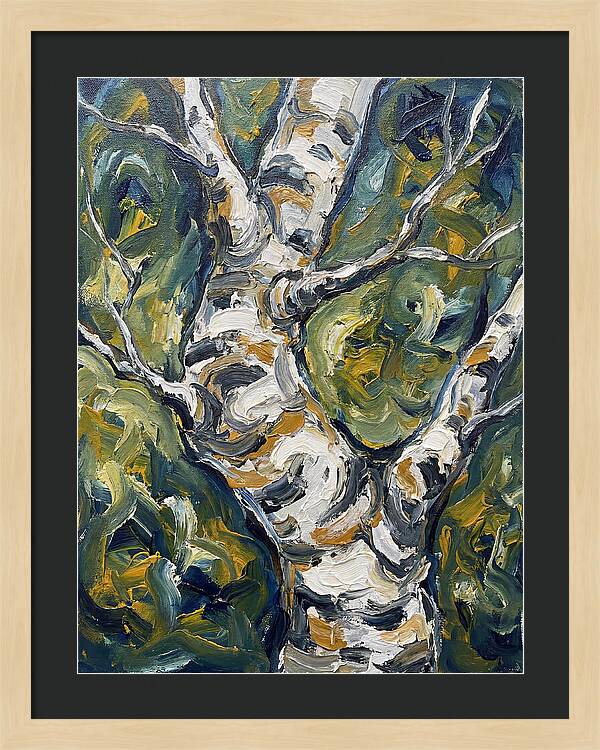 Birch Tree Serenity