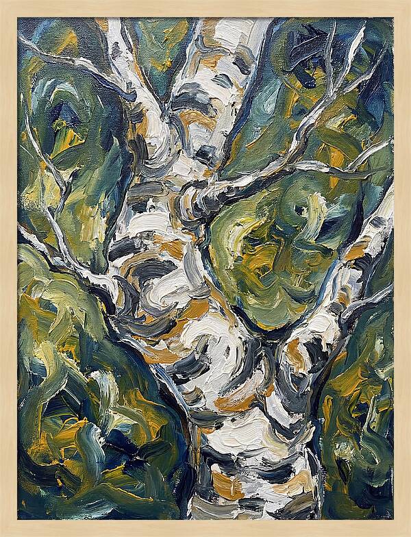 Birch Tree Serenity
