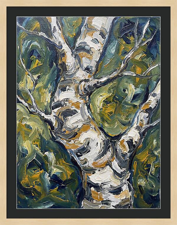 Birch Tree Serenity