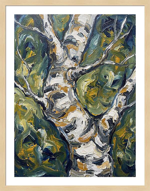 Birch Tree Serenity