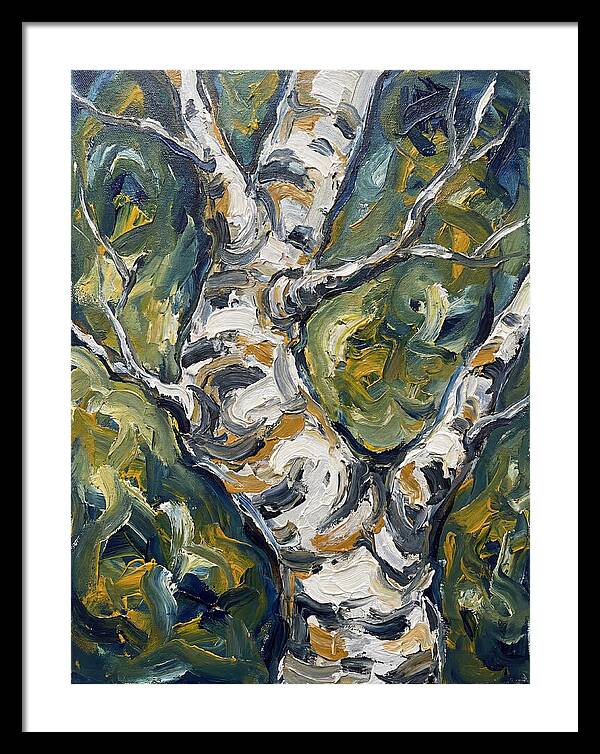 Birch Tree Serenity