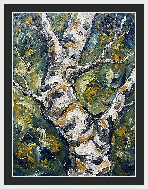 Birch Tree Serenity