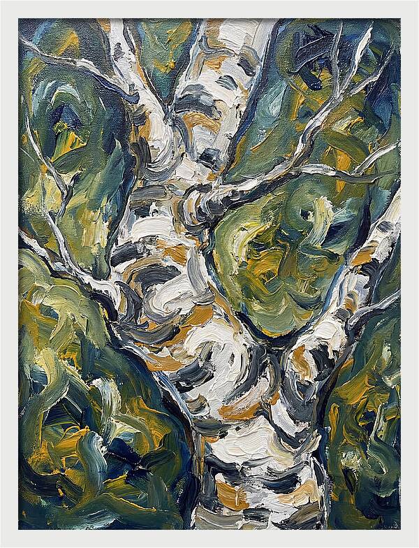 Birch Tree Serenity