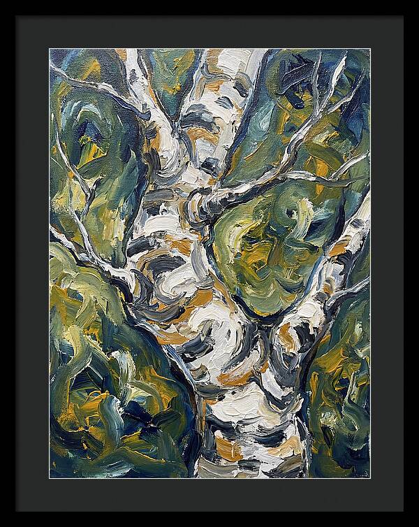Birch Tree Serenity