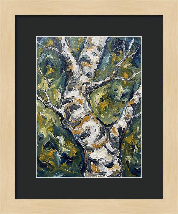 Birch Tree Serenity