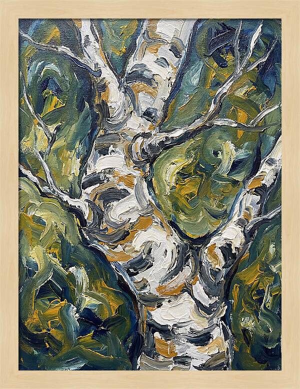 Birch Tree Serenity