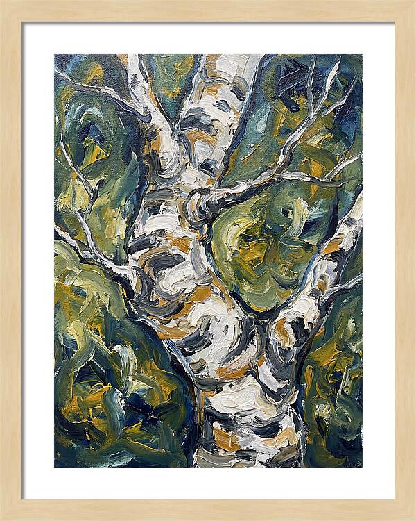 Birch Tree Serenity