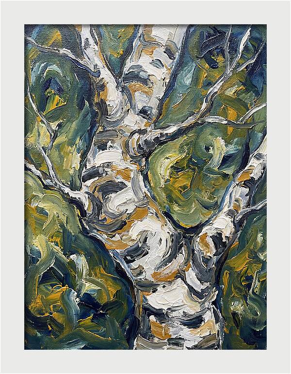 Birch Tree Serenity