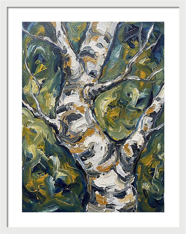 Birch Tree Serenity