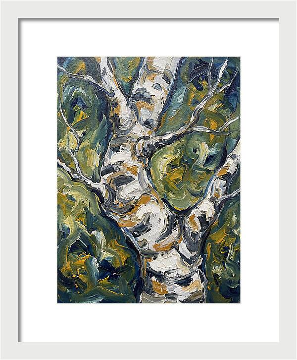 Birch Tree Serenity