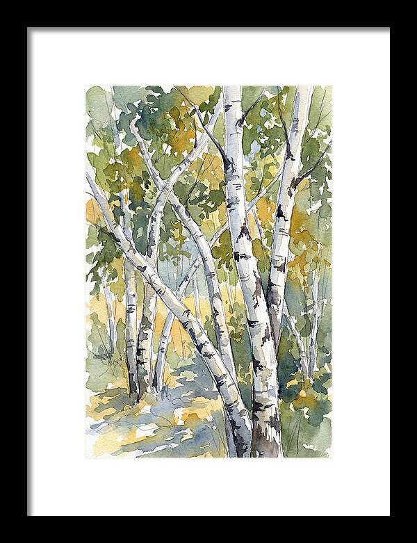 Birch Trees In Autumn Light