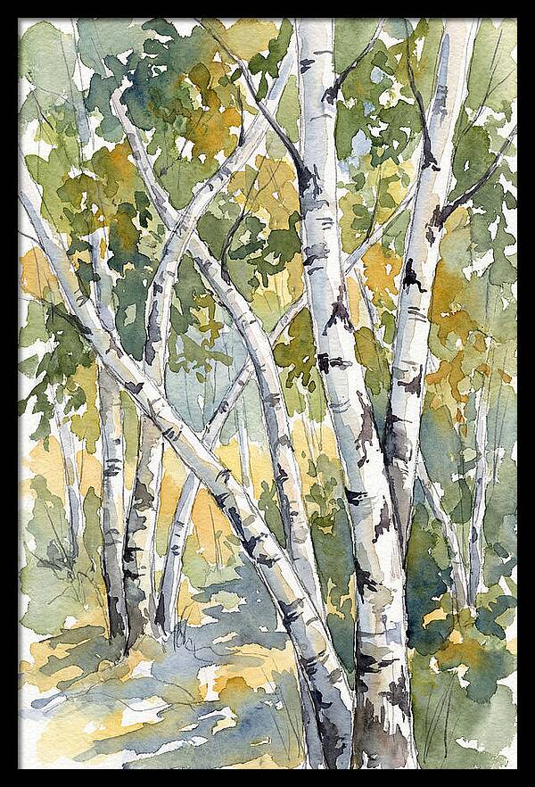 Birch Trees In Autumn Light