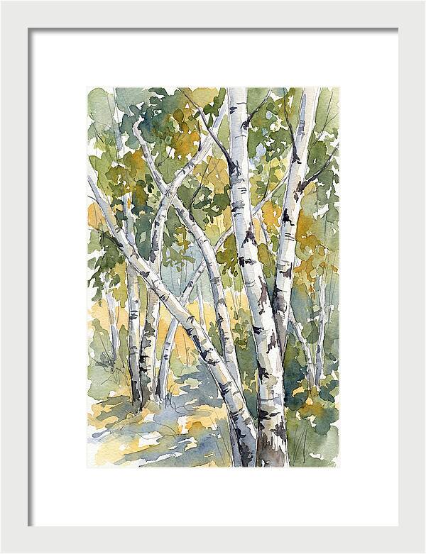 Birch Trees In Autumn Light