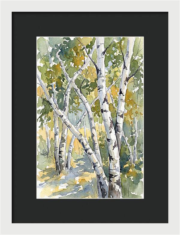 Birch Trees In Autumn Light