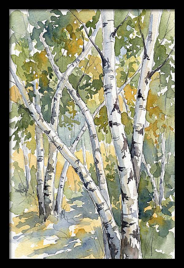 Birch Trees In Autumn Light