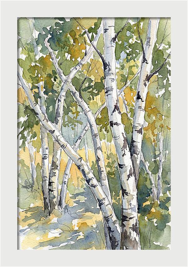 Birch Trees In Autumn Light
