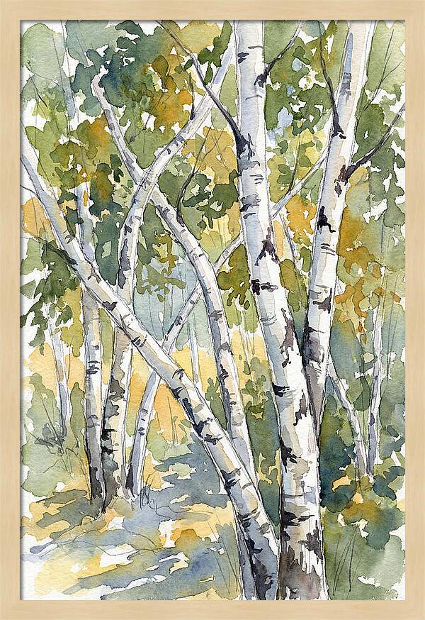 Birch Trees In Autumn Light