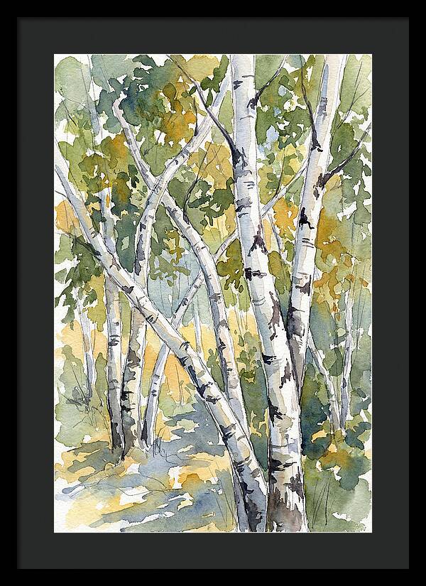 Birch Trees In Autumn Light