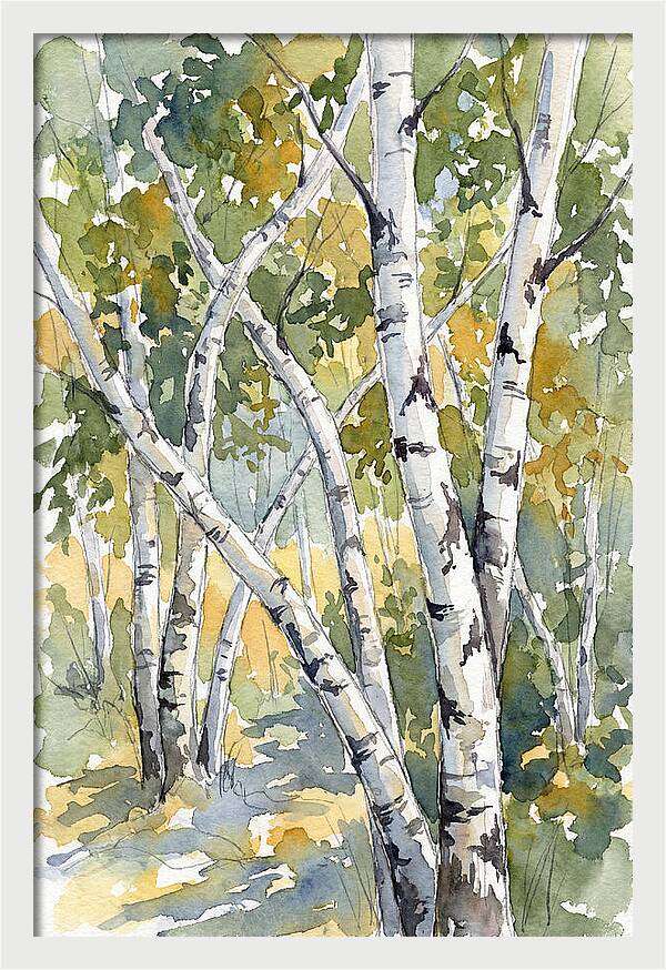 Birch Trees In Autumn Light