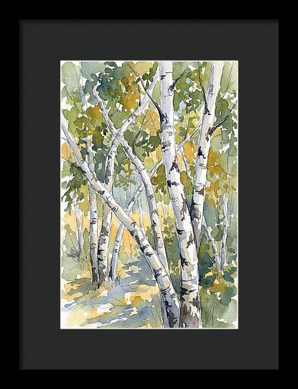 Birch Trees In Autumn Light