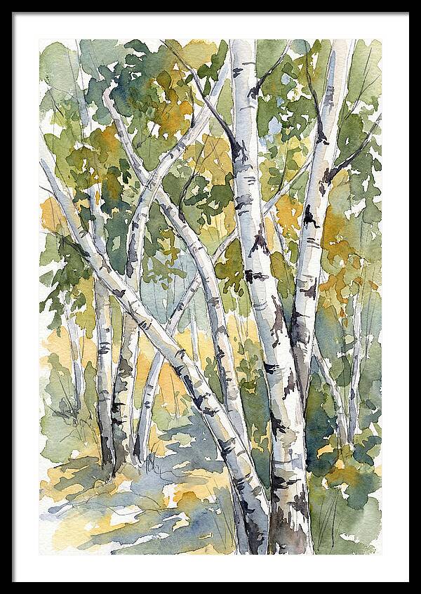 Birch Trees In Autumn Light