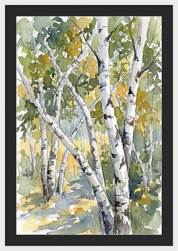 Birch Trees In Autumn Light