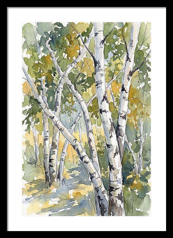 Birch Trees In Autumn Light