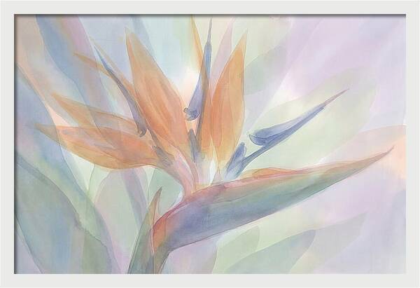 Bird Of Paradise Bloom