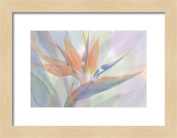 Bird Of Paradise Bloom