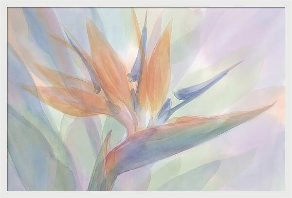 Bird Of Paradise Bloom