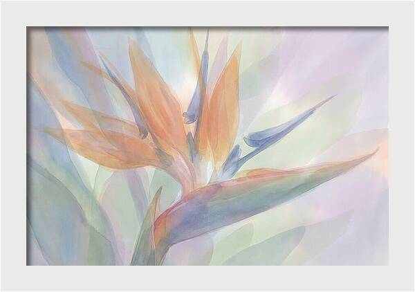 Bird Of Paradise Bloom