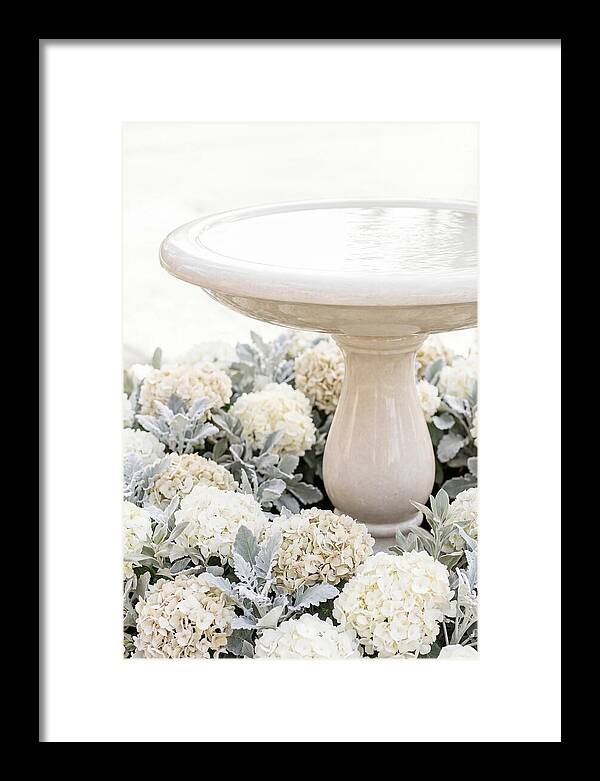 Birdbath Surrounded By Flowers