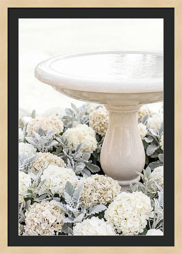 Birdbath Surrounded By Flowers