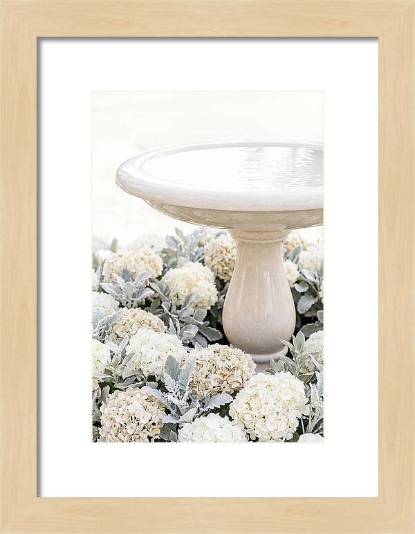 Birdbath Surrounded By Flowers