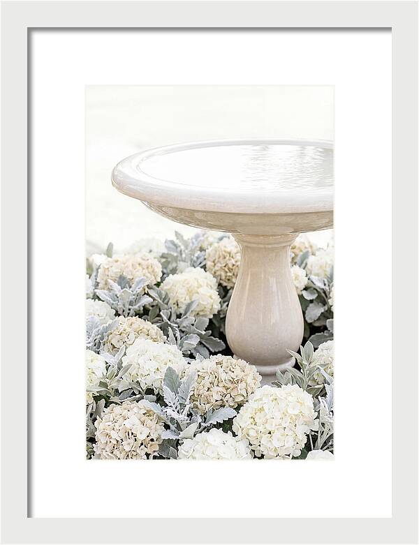 Birdbath Surrounded By Flowers