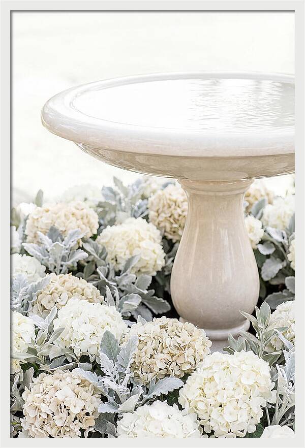 Birdbath Surrounded By Flowers