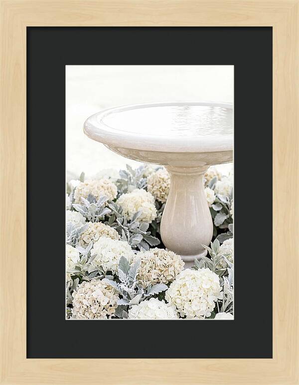 Birdbath Surrounded By Flowers