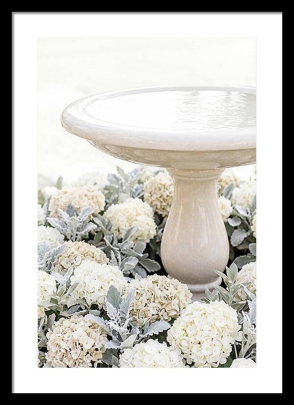Birdbath Surrounded By Flowers