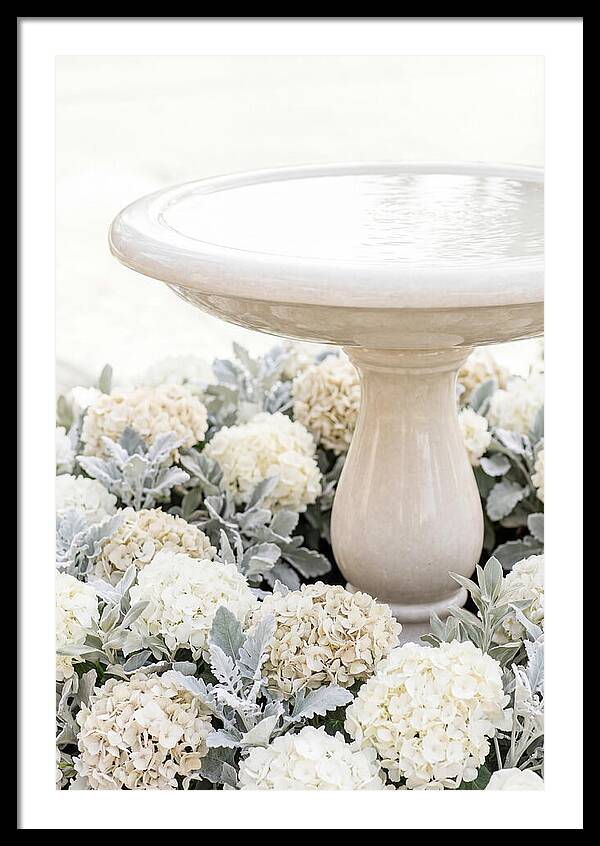 Birdbath Surrounded By Flowers